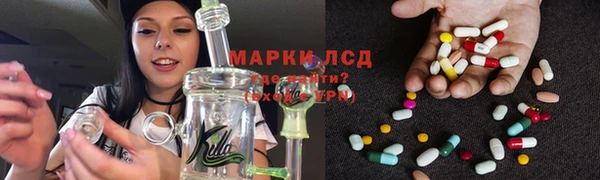 индика Алексин