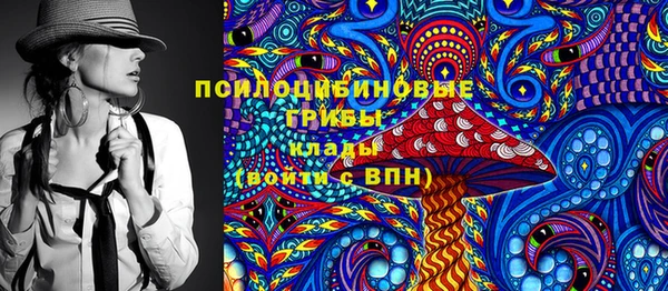 индика Алексин