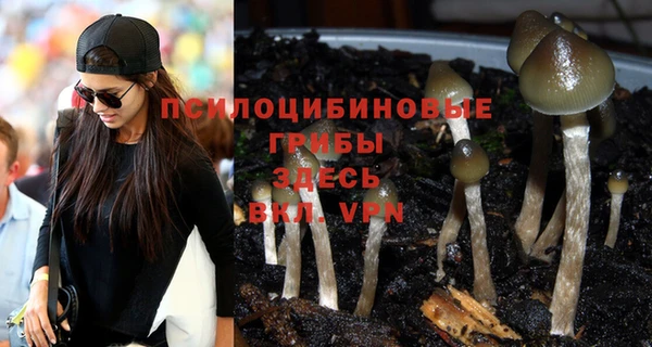 индика Алексин