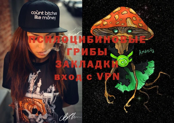 индика Алексин