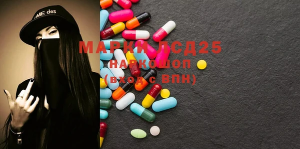 индика Алексин