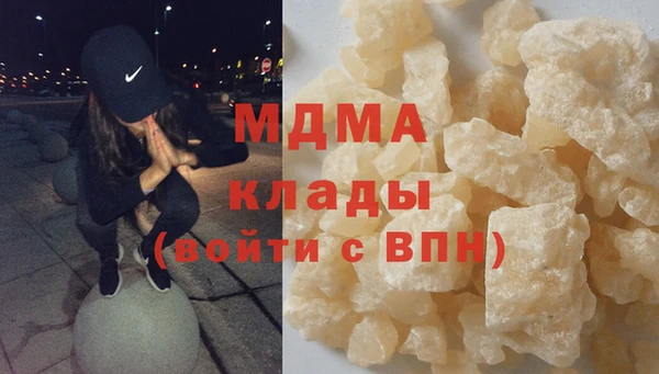 индика Алексин