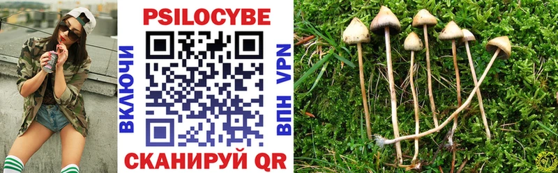 kraken ССЫЛКА  Черепаново  Псилоцибиновые грибы Cubensis 